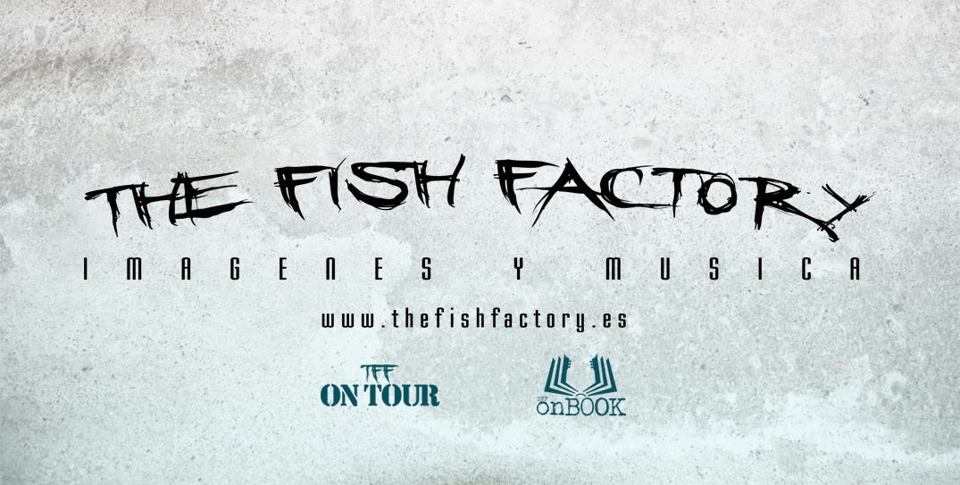 TFF COMPAÑÍA DE DISCOS en España llega a un acuerdo con el sello británicos ESCAPE MUSIC